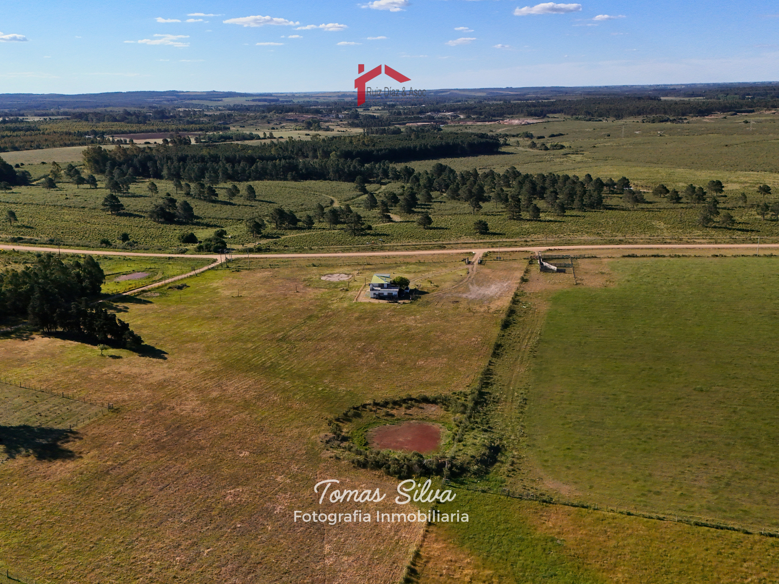 29