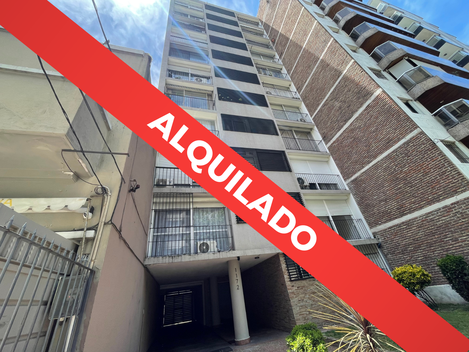 BUXAALUILADO