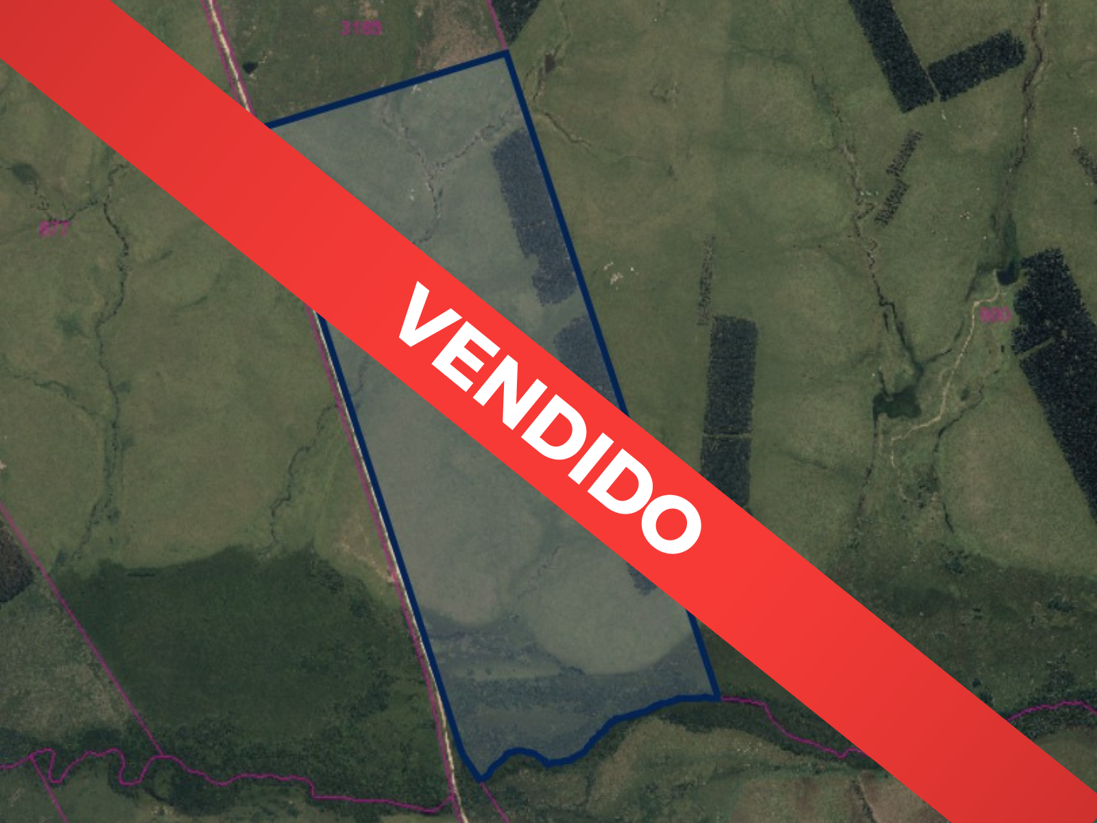 AMPOVENDIDO